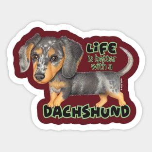 Cute doxie dog walking with attitude on Dappled Dachshund Walking Sticker